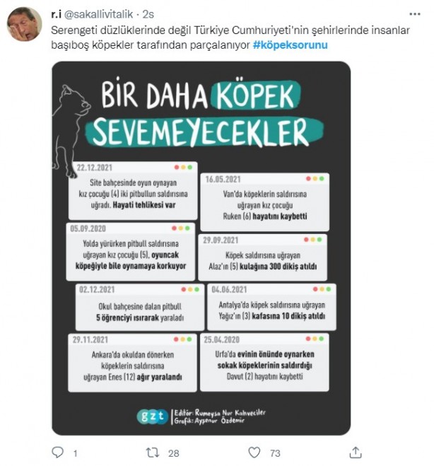 Foto - Daha binlerce mağdur var, vatandaşlardan büyük tepki! Sosyal medyada #KöpekSorunu gündem oldu