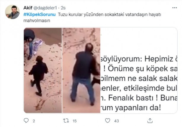 Foto - Daha binlerce mağdur var, vatandaşlardan büyük tepki! Sosyal medyada #KöpekSorunu gündem oldu