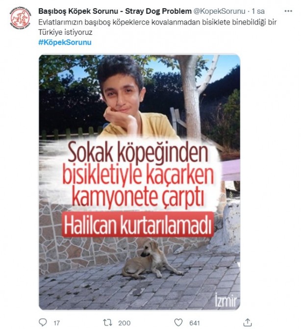 Foto - Daha binlerce mağdur var, vatandaşlardan büyük tepki! Sosyal medyada #KöpekSorunu gündem oldu