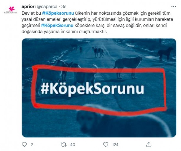 Foto - Daha binlerce mağdur var, vatandaşlardan büyük tepki! Sosyal medyada #KöpekSorunu gündem oldu