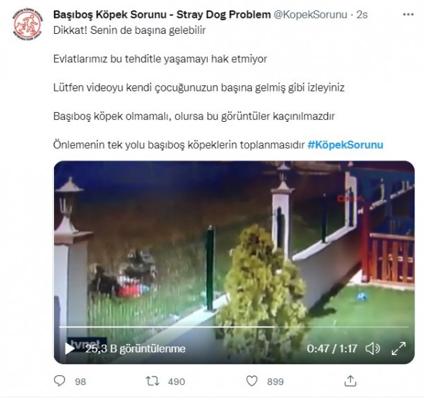 Foto - Daha binlerce mağdur var, vatandaşlardan büyük tepki! Sosyal medyada #KöpekSorunu gündem oldu