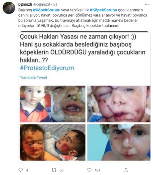 Foto - Daha binlerce mağdur var, vatandaşlardan büyük tepki! Sosyal medyada #KöpekSorunu gündem oldu