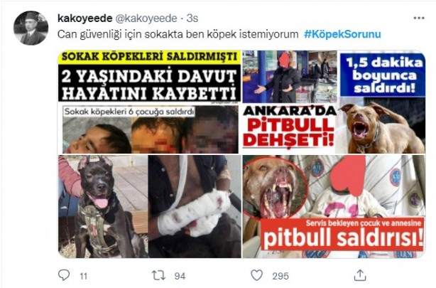 Foto - Daha binlerce mağdur var, vatandaşlardan büyük tepki! Sosyal medyada #KöpekSorunu gündem oldu