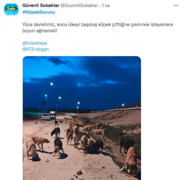 Foto - Daha binlerce mağdur var, vatandaşlardan büyük tepki! Sosyal medyada #KöpekSorunu gündem oldu