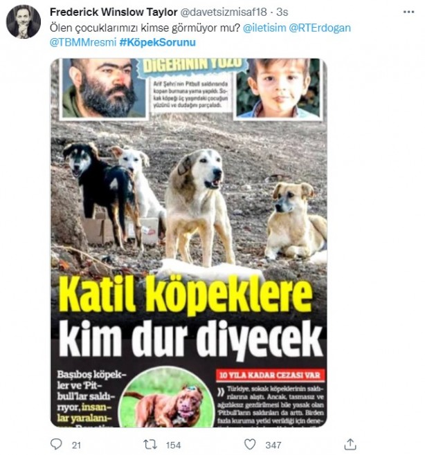 Foto - Daha binlerce mağdur var, vatandaşlardan büyük tepki! Sosyal medyada #KöpekSorunu gündem oldu