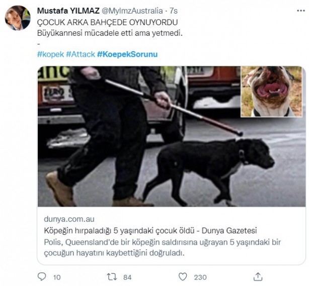 Foto - Daha binlerce mağdur var, vatandaşlardan büyük tepki! Sosyal medyada #KöpekSorunu gündem oldu