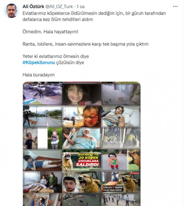 Foto - Daha binlerce mağdur var, vatandaşlardan büyük tepki! Sosyal medyada #KöpekSorunu gündem oldu
