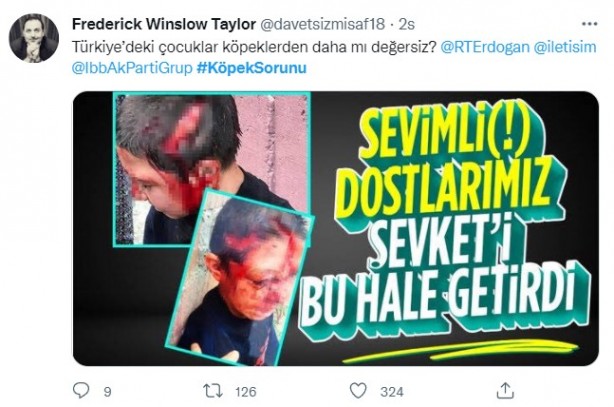 Foto - Daha binlerce mağdur var, vatandaşlardan büyük tepki! Sosyal medyada #KöpekSorunu gündem oldu