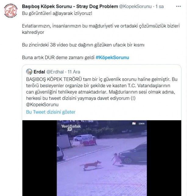 Foto - Daha binlerce mağdur var, vatandaşlardan büyük tepki! Sosyal medyada #KöpekSorunu gündem oldu