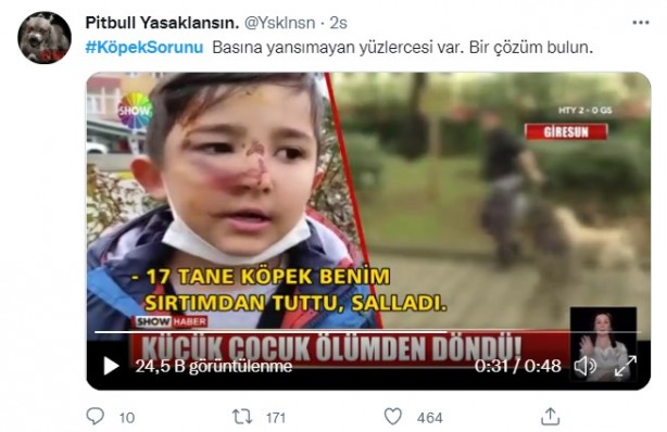 Foto - Daha binlerce mağdur var, vatandaşlardan büyük tepki! Sosyal medyada #KöpekSorunu gündem oldu