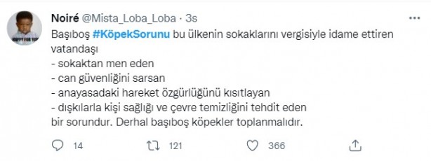 Foto - Daha binlerce mağdur var, vatandaşlardan büyük tepki! Sosyal medyada #KöpekSorunu gündem oldu
