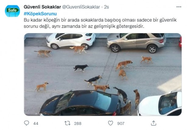 Foto - Daha binlerce mağdur var, vatandaşlardan büyük tepki! Sosyal medyada #KöpekSorunu gündem oldu