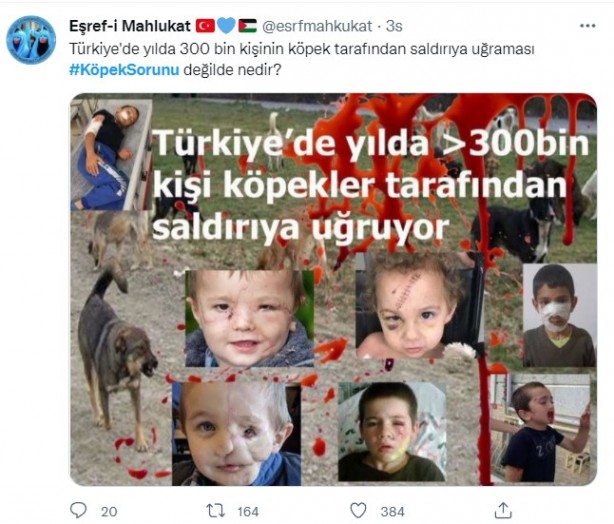 Foto - Daha binlerce mağdur var, vatandaşlardan büyük tepki! Sosyal medyada #KöpekSorunu gündem oldu