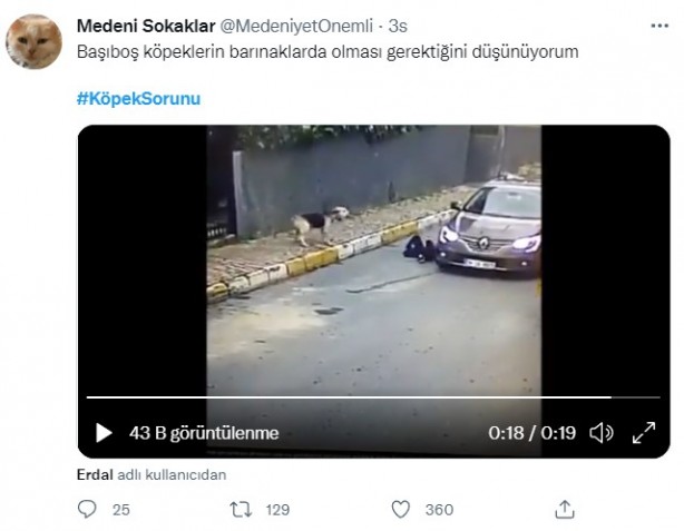 Foto - Daha binlerce mağdur var, vatandaşlardan büyük tepki! Sosyal medyada #KöpekSorunu gündem oldu