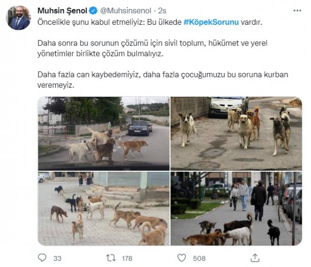 Foto - Daha binlerce mağdur var, vatandaşlardan büyük tepki! Sosyal medyada #KöpekSorunu gündem oldu