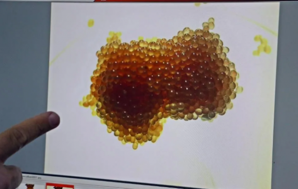 Foto - Vatandaşları böyle uyardı: Kesinlikle dokunmayın