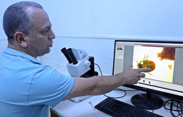 Foto - Vatandaşları böyle uyardı: Kesinlikle dokunmayın