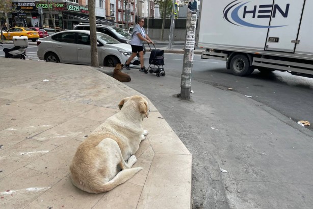 Foto - Vatandaşları çileden çıkartan görüntü