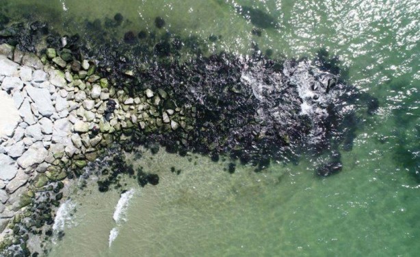 Foto - Vatandaşları tedirgin eden görüntü: İstanbul'da deniz 6 metre çekildi!