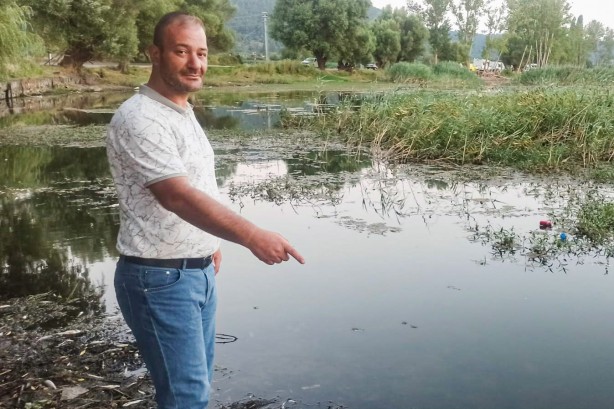 Foto - Vatandaşları tedirgin etti yetkililer harekete geçti! Yüzlercesi kıyıya vurdu