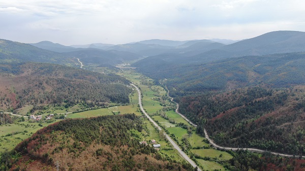 Foto - Vatandaşların yürekleri ağızda! Popülasyonu artan ayılar o şehirde kabus yaşatıyor