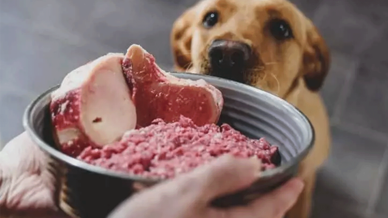 Foto - Vatandaşlarına en çok köpek eti yediren ülkeler açıklandı! Listede Türkiye var mı?