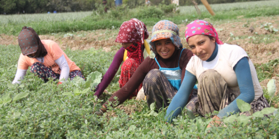 Foto - Vatandaşlık maaşı geliyor