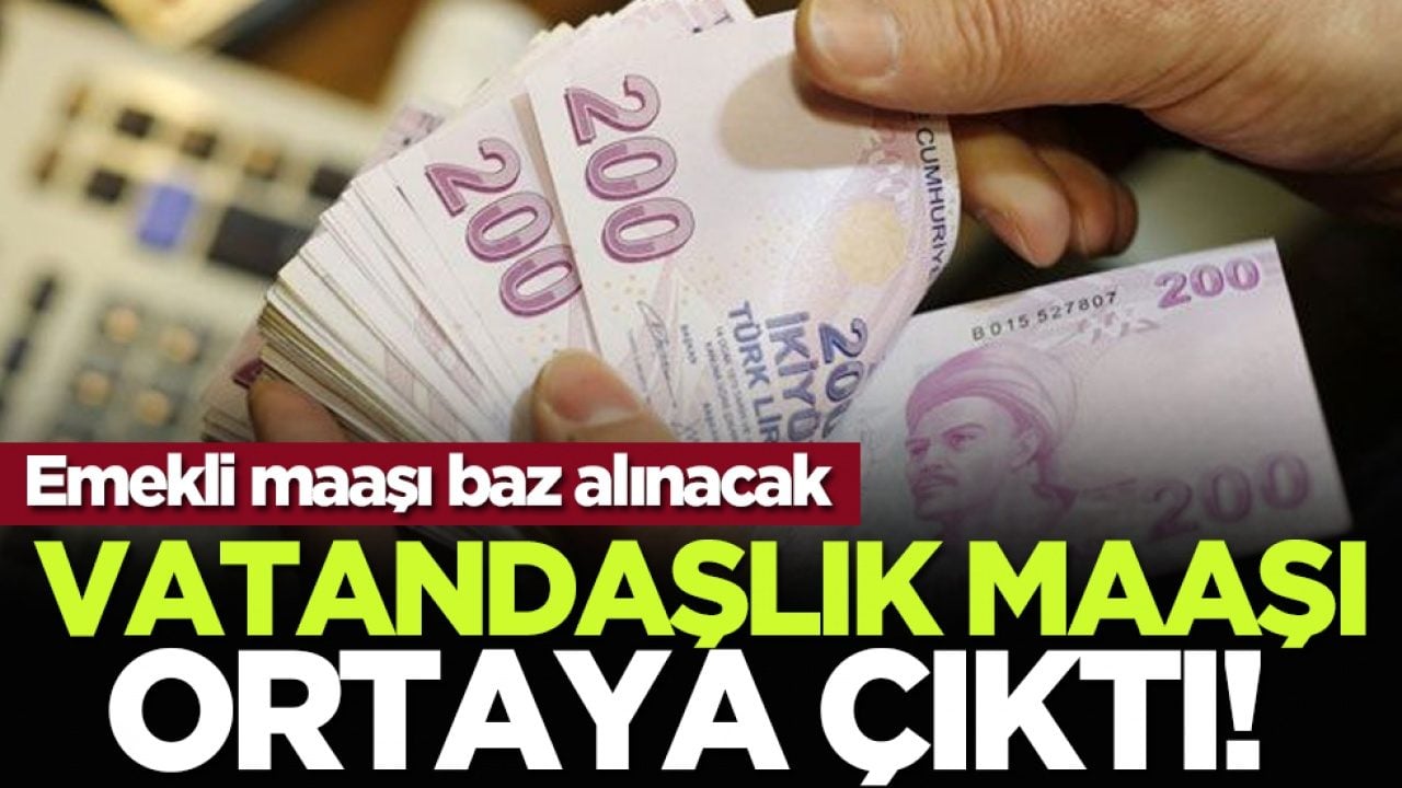 Vatandaşlık maaşı ortaya çıktı! Emekli maaşı baz alınacak