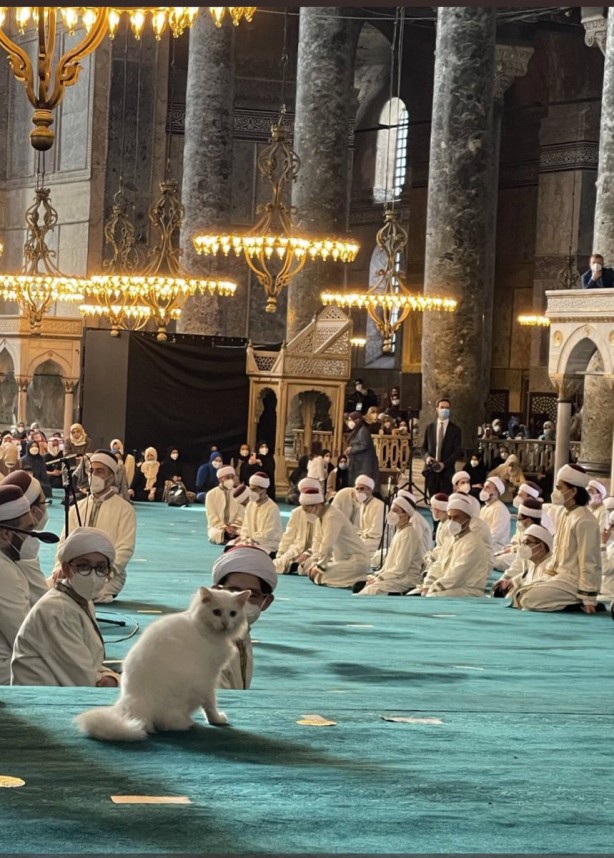 Foto - Vav kuşağı geliyor! 