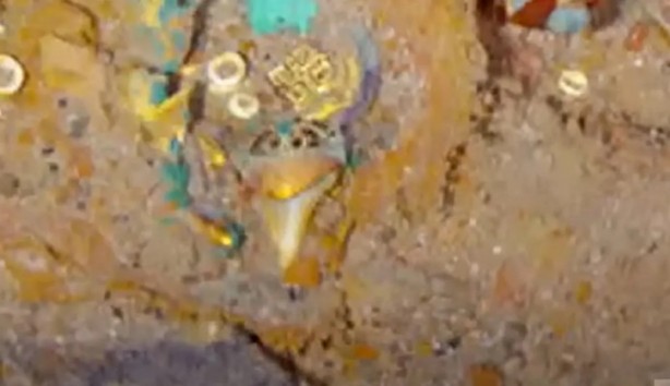 Ve gizli hazine bulundu! İçindeki altınlar ortaya saçıldı