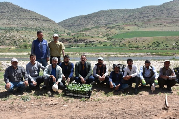 Foto - Verilen desteklerle Şırnaklı çiftçiler alternatif ürüne yöneldi