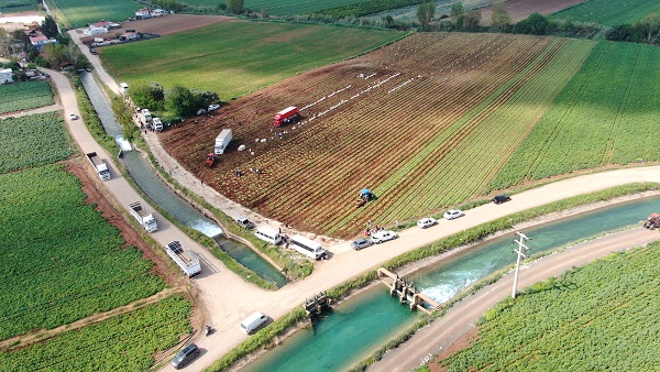 Foto - Verim yüksek, hasat başladı! 'Fiyatlar düşüşe geçecek'