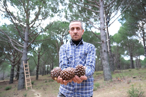 Foto - Verim yüzde 60 oldu! Kilosu 600 TL'den satılıyor