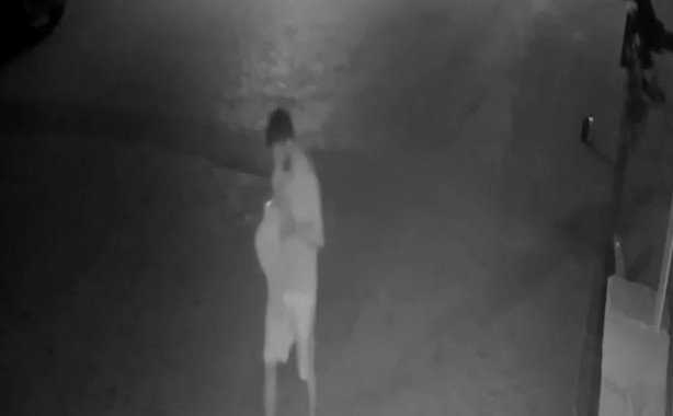 Foto - Vicdansızlar! Kedileri poşetin içine koyup...