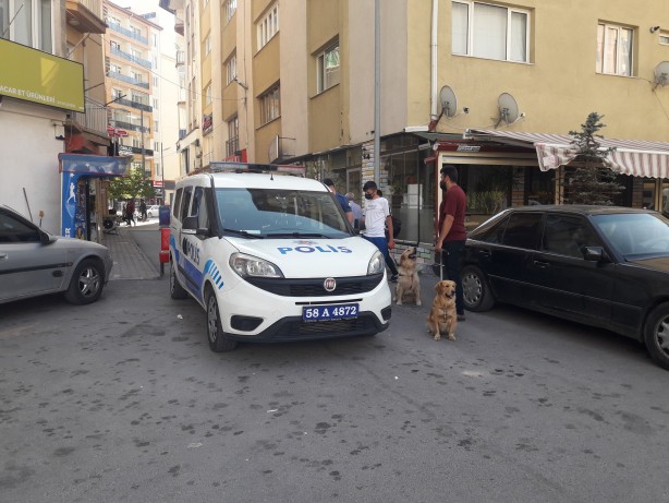 Foto - Vicdansızlık! Başı kesilmiş kediler vatandaşları tedirgin etti