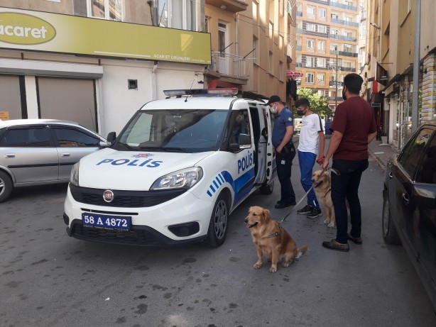 Foto - Vicdansızlık! Başı kesilmiş kediler vatandaşları tedirgin etti