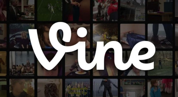 Vine geri mi dönüyor? Ellen Musk'tan dikkat çeken enket