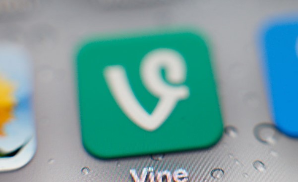 Foto - Vine geri mi dönüyor? Ellen Musk'tan dikkat çeken enket