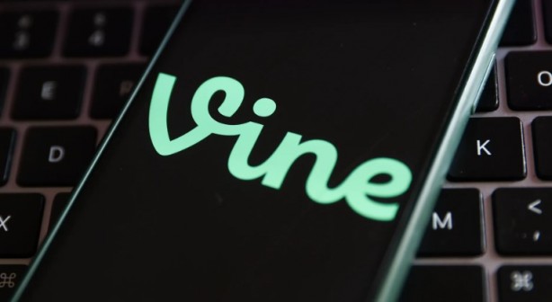 Foto - Vine geri mi dönüyor? Ellen Musk'tan dikkat çeken enket