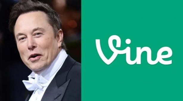 Foto - Vine geri mi dönüyor? Ellen Musk'tan dikkat çeken enket