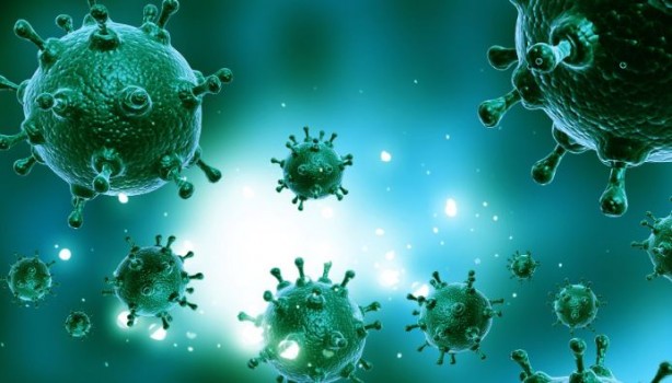 Foto - Virüsleri yeniden programladılar