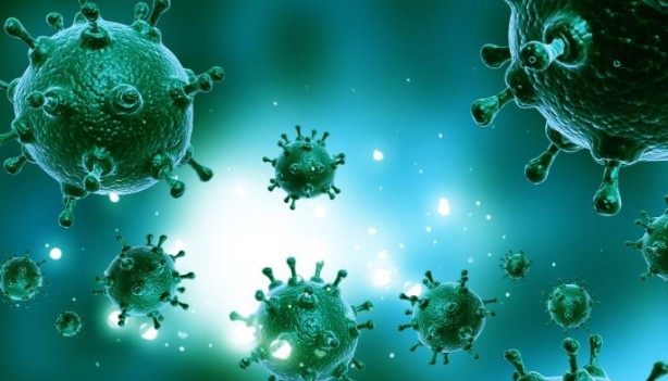 Foto - Virüsleri yeniden programladılar