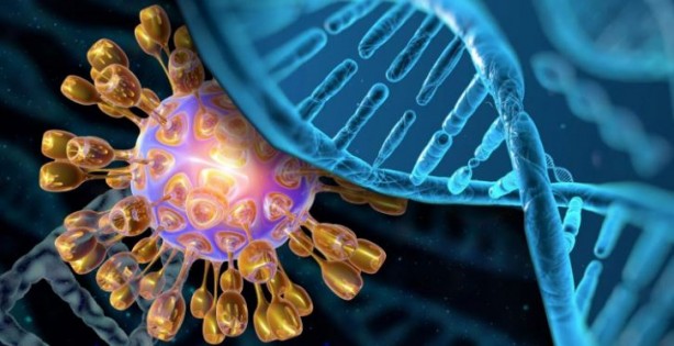 Foto - Virüsleri yeniden programladılar