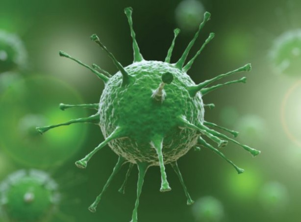 Foto - Virüsleri yeniden programladılar