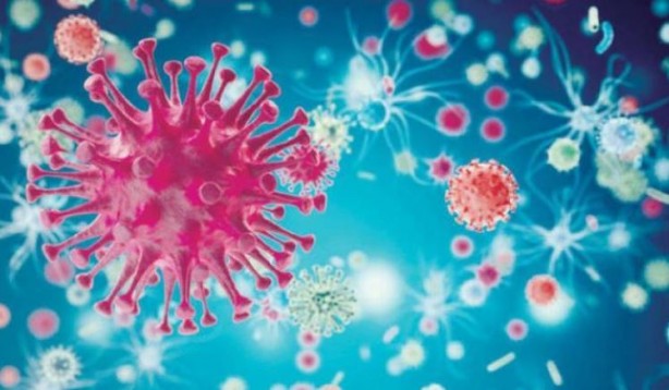 Foto - Virüsleri yeniden programladılar