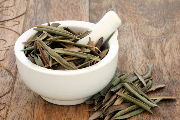 Foto - Virüsleri yok eden çay! Günde 3 bardağı yetiyor