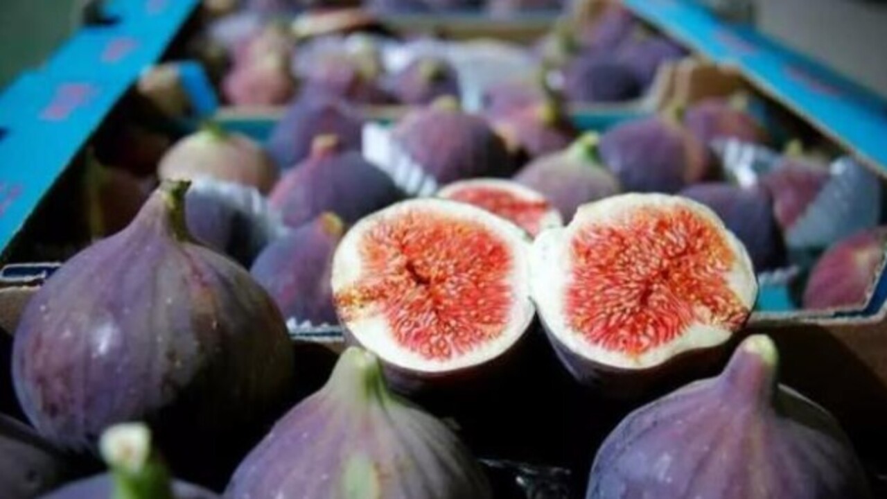 Vitamin ve kalsiyum deposu! İşte siyah incir hakkında bilinmesi gerekenler