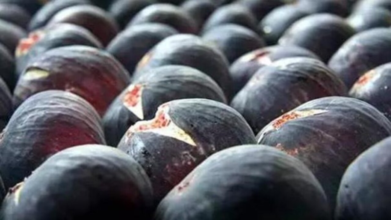 Foto - Vitamin ve kalsiyum deposu! İşte siyah incir hakkında bilinmesi gerekenler