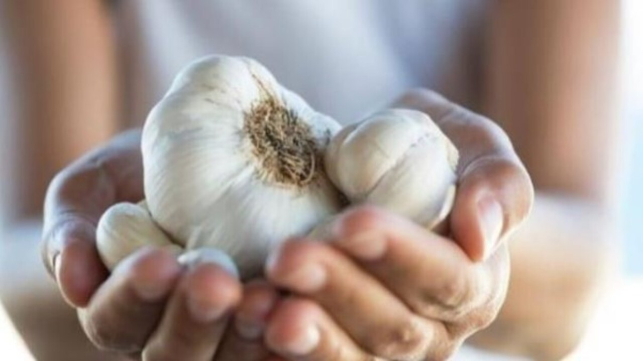 Foto - Vitaminleri daha kalıcı hale getiriyor! İşte sarımsakta 10 dakika kuralı