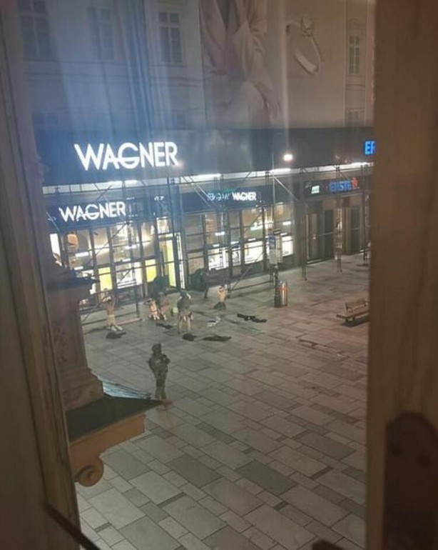 Foto - Viyana kan gölüne döndü! Şoke eden görüntüler